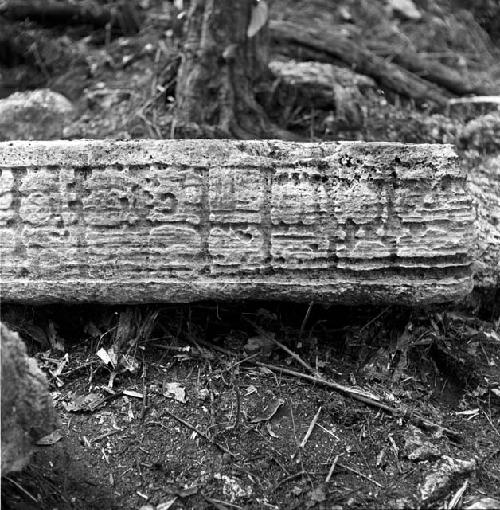 Stela at Tamarindito