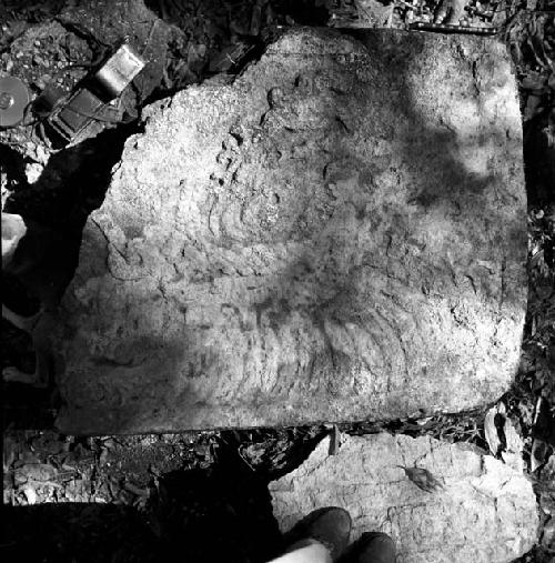 Fragments of Stela 37 at Naranjo