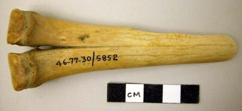 Bone object - probably used as weaving implement