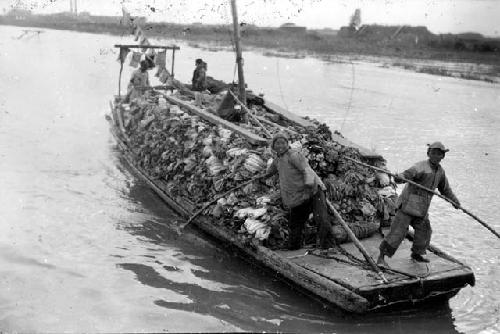 People with boat full of bok choy