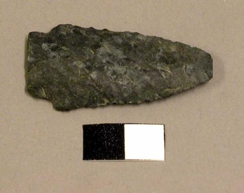 Projectile point