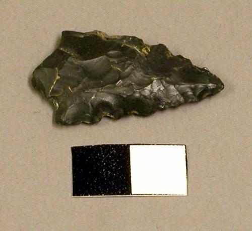 Projectile point