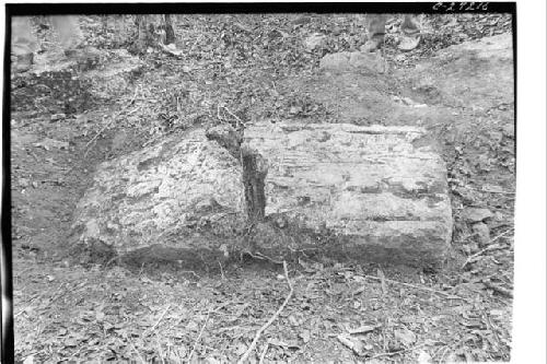 Stela 4 with sculptured face upward