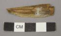 Ornament fragment? wood splinter, darkened one side