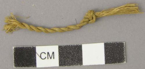 Vegetable fiber fragments, one knotted and twisted
