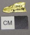 Metal, gold fragment