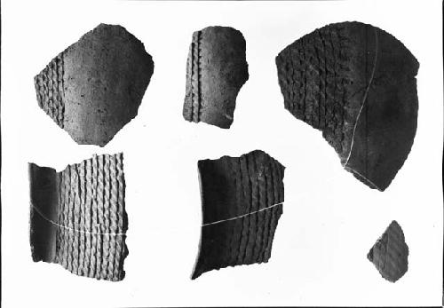 Ceramic Sherds