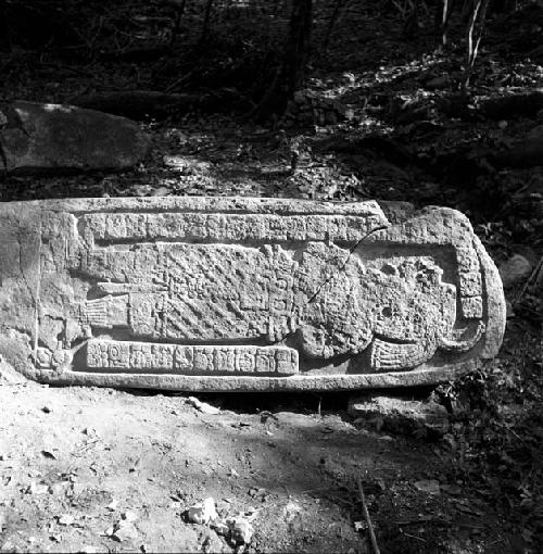 Stela 29 at Naranjo