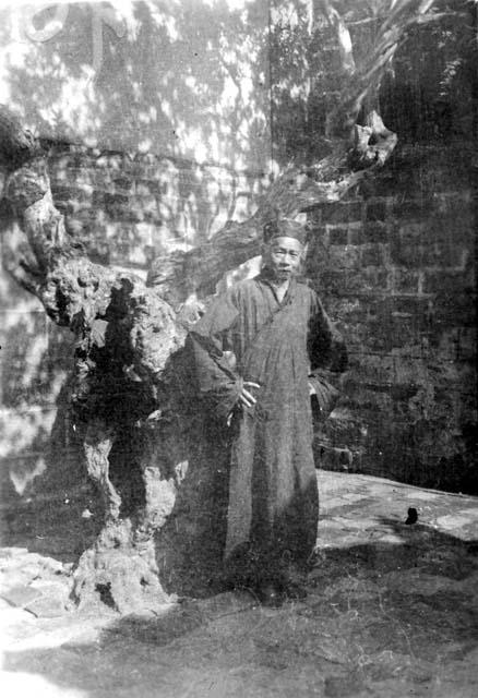 Man in front of tree in courtyard