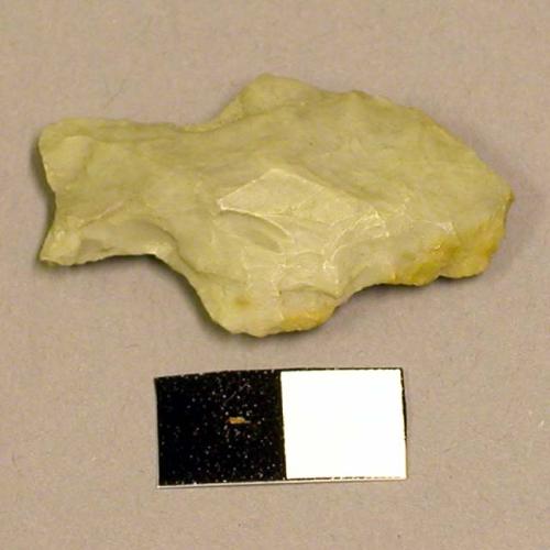 Projectile point