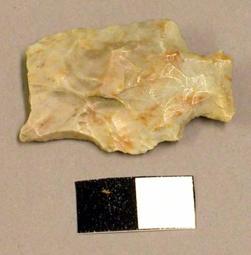 Projectile point