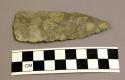 Projectile point