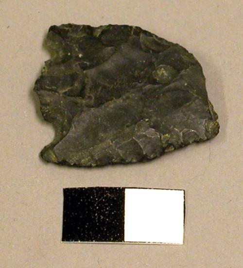 Projectile point