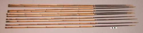 Hunting arrows - plain palm wood point bound with yellow fibre; bamboo+