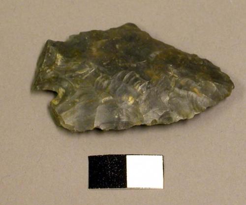 Projectile point