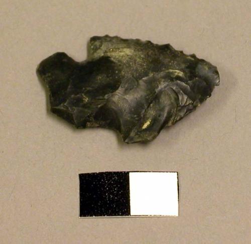 Projectile point