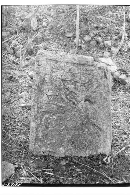 Close-up of upper half of Stela 2