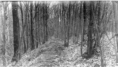 Earthworks at Millis, Mass