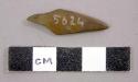 Pointed, arrow shaped bone