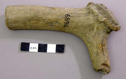 Bone chisel with handle made of antler. Cervid, antler.