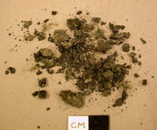 Charcoal found in cinerary urn 50/8721