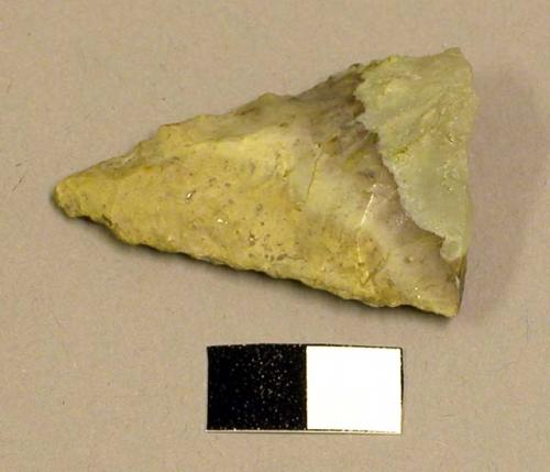 Projectile point