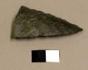 Projectile point