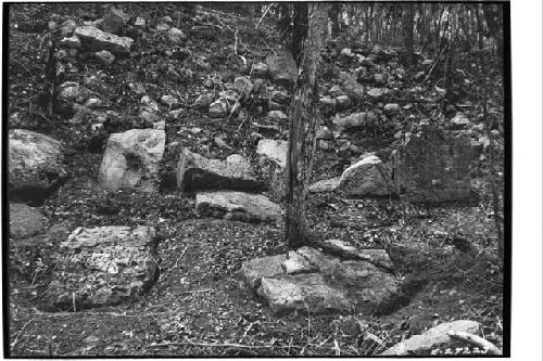 Rows of fallen stelae in front of Temple of the 16 Stelae