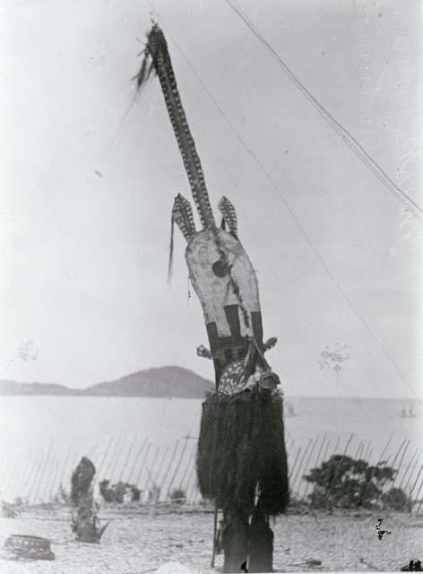 Mask from New Guinea