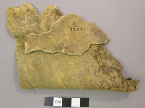 Pieces of buckskin