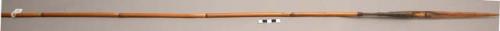 Spear, 49.5 in. l, bone tip