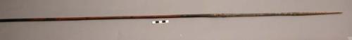 Spear, 50.5 in. l, bone tip.