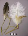 Ornaments, feathers, 1 white  tied w/ rawhide at base, 1 feather, 1 rawhide tie