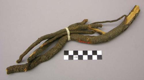 Roots of rhus aromatica