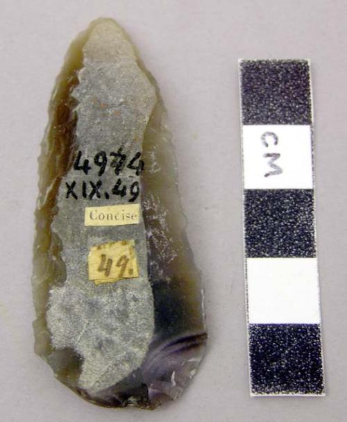 Arrow heads of silex