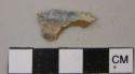 Plaster and unidentified paint fragments from debris