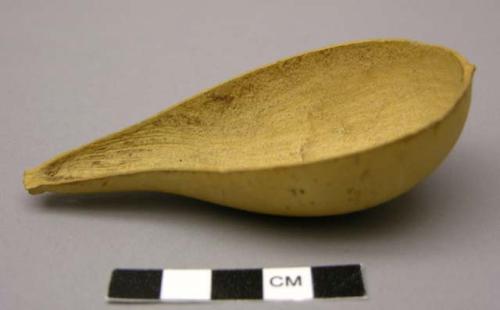 Calabash spoon