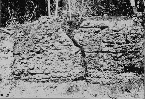 Stela 4; Right Side; Close-up of Bottom