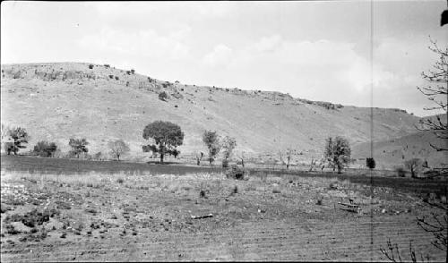 North End of Swarts Ruin from East Before Excavating