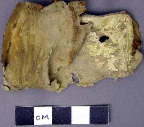 White hide fragment