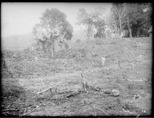 Southern slope of Mound 36