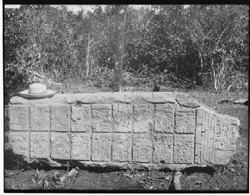 Sculpture with glyphs (man's hat for scale)