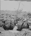 Blocked major gateway in Mayapan wall W. of Tekit Rd. at Cenote X'Coton, Sec. T.