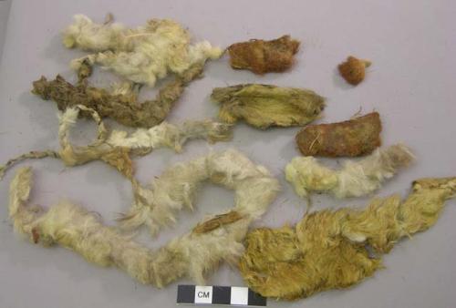 Hide fragments with fur, some twisted into strands