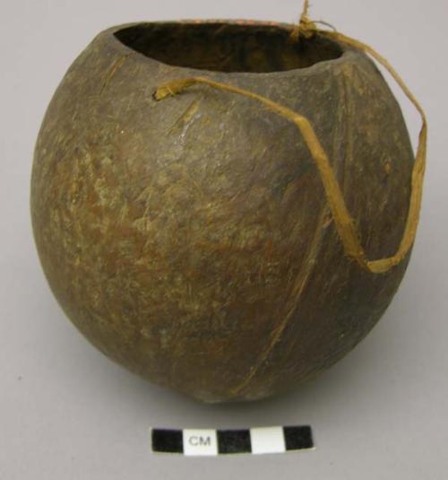 Coconut shell container for cooked meat for children