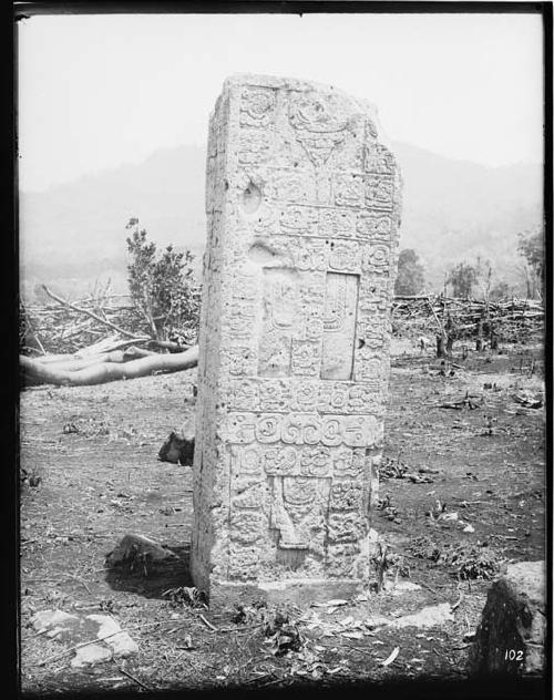 Western side of Stela J