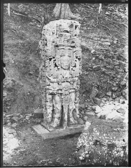 Stela N, front, looking South