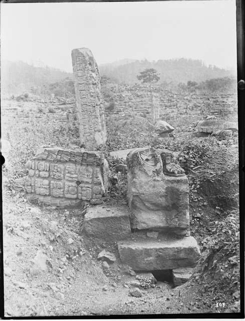 Stela 4 - looking north