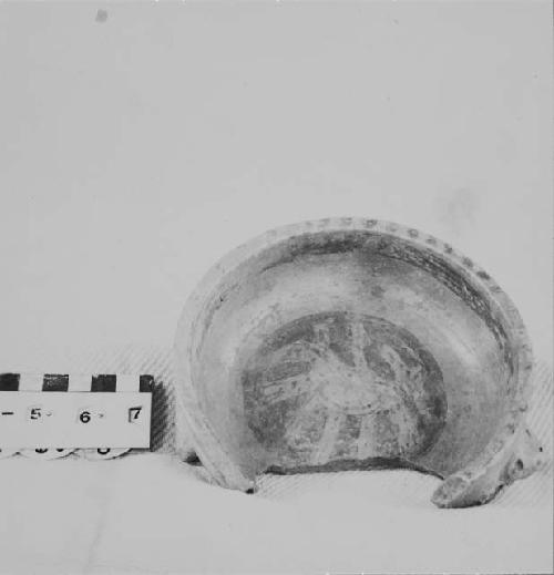 Fragmentary tetrapodal turtle effigy polychrome pottery bowl