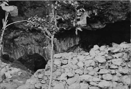 Platform on floor of Cenote X-Coton from south